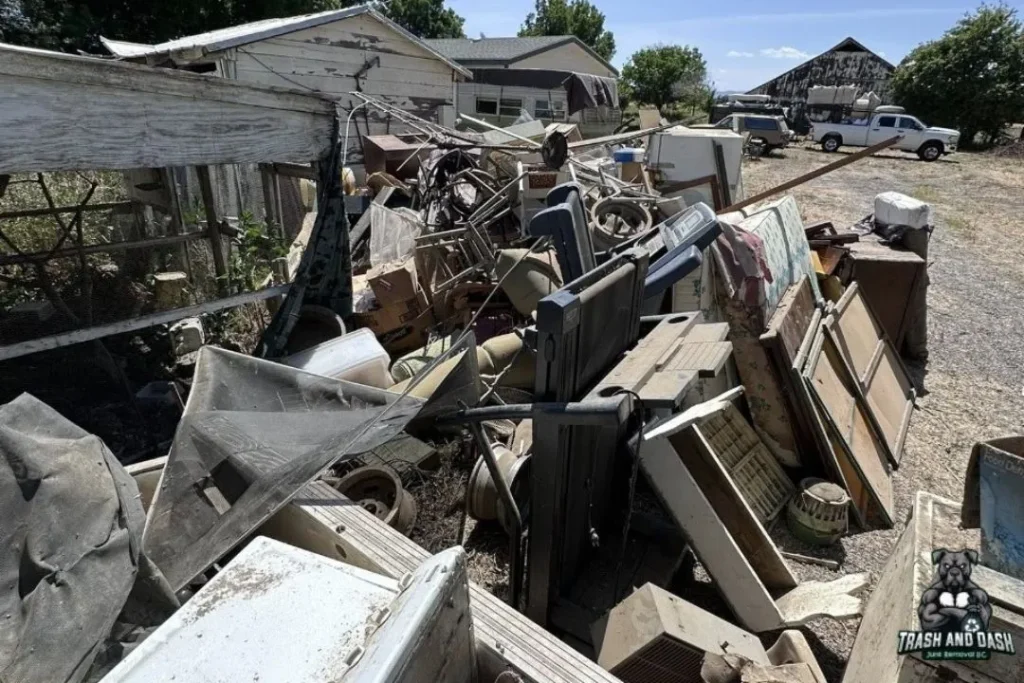 junk removal service