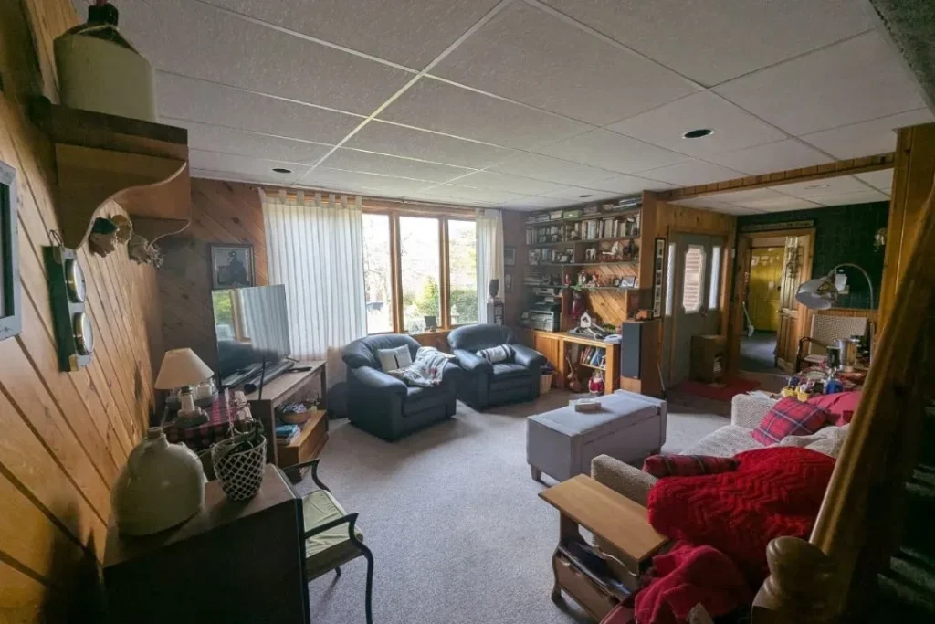 Why Junk Removal Service is a Better Option Than Renting a Dumpster